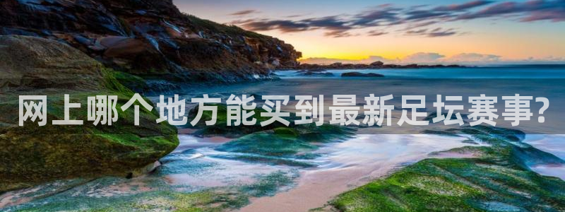 网上哪个地方能买到最新足坛赛事?
